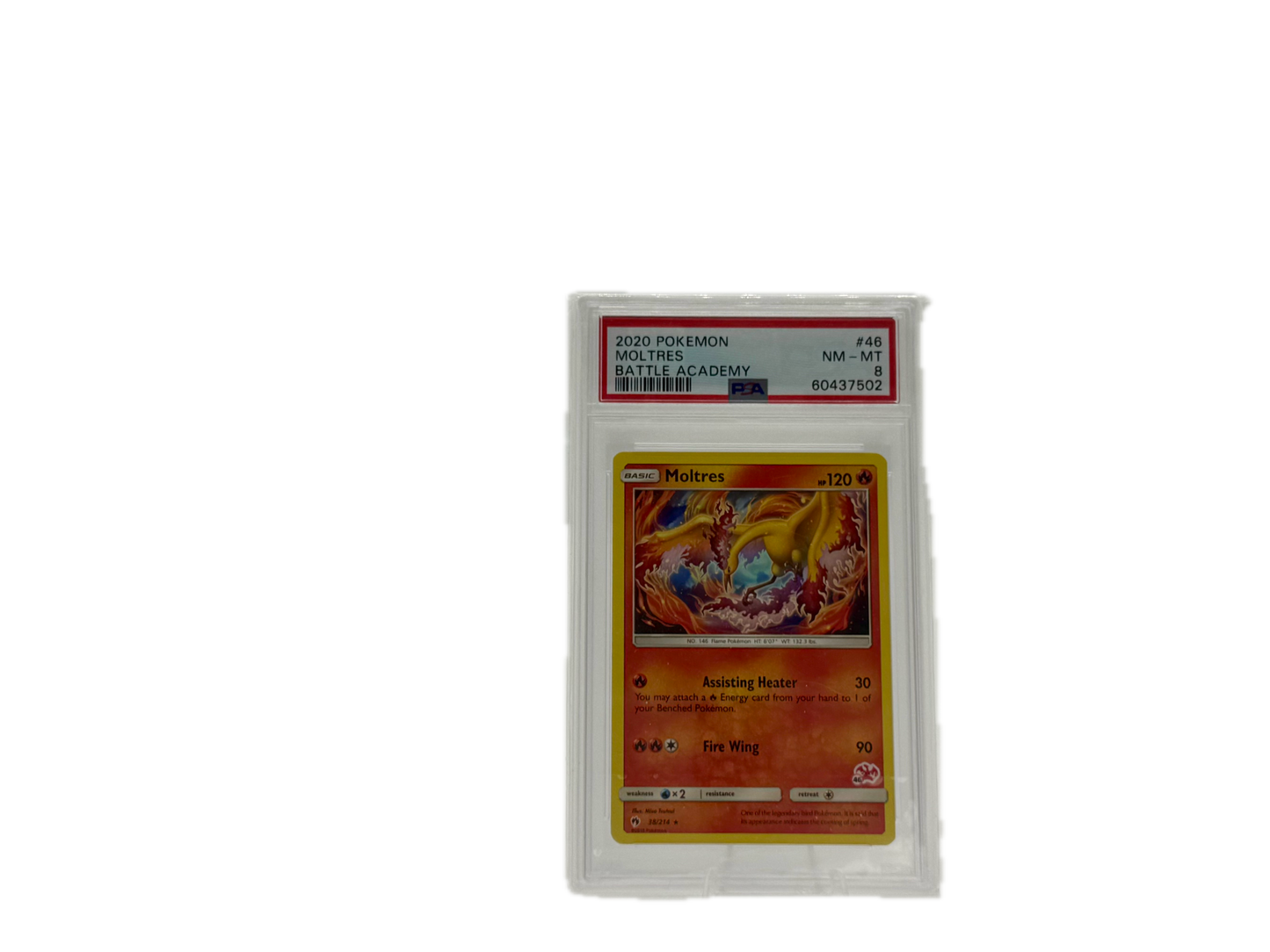 Pokémon Moltres Slab Battle Academy Near Mint PSA 8 Englisch