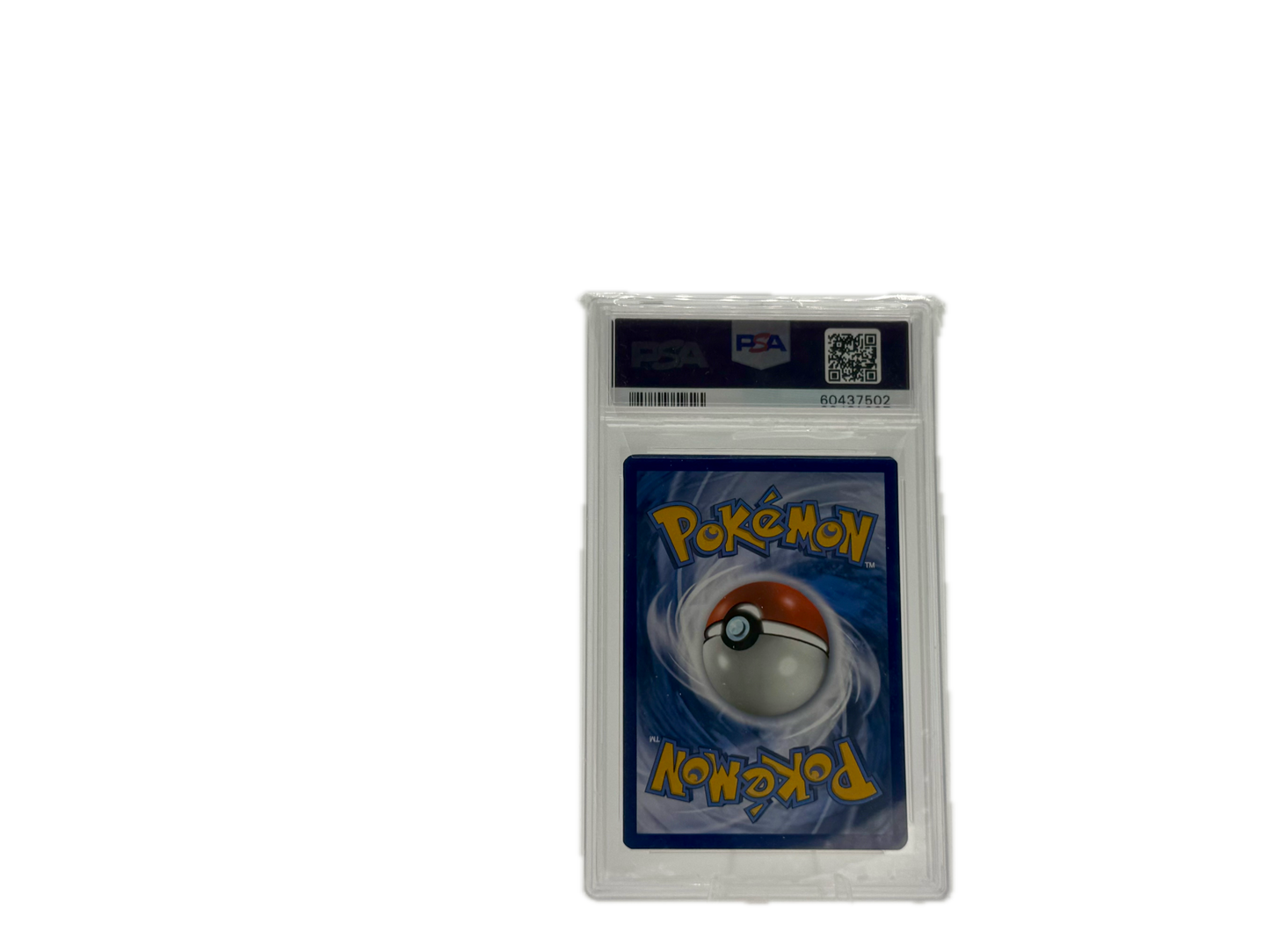 Pokémon Moltres Slab Battle Academy Near Mint PSA 8 Englisch