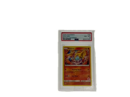 Pokémon Moltres Slab Battle Academy Near Mint PSA 8 Englisch